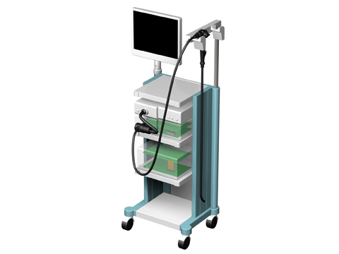 Endoscope